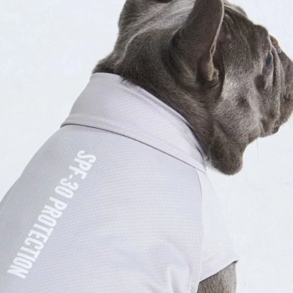 NEW Spark Paws Sunblock Dog T-Shirts (Pack of 2: Grey & Blue)